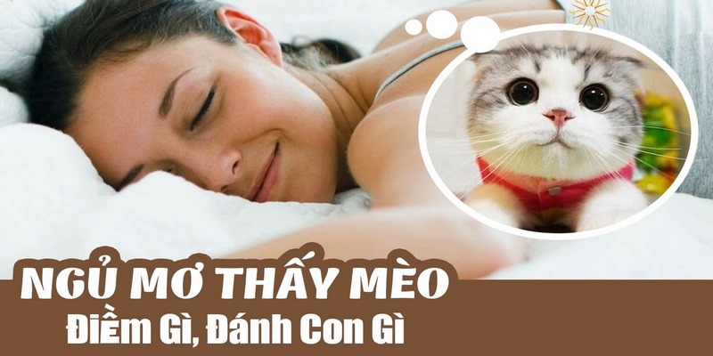 giải mã giấc mơ thấy mèo