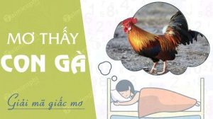 mơ thấy gà