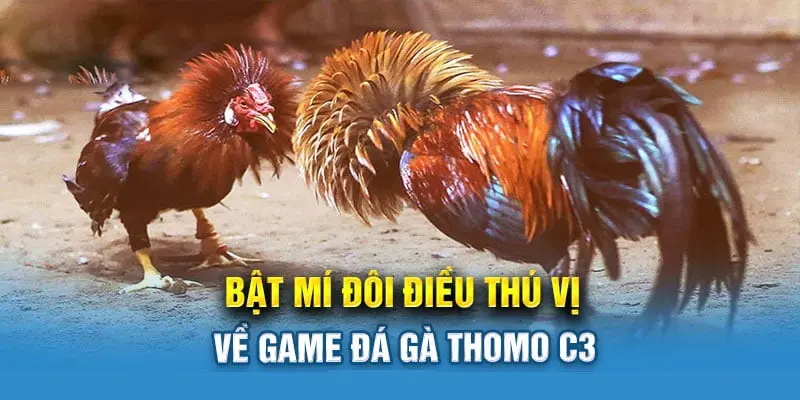 Kết hợp xem đá gà và đặt cược mọi lúc tùy thích