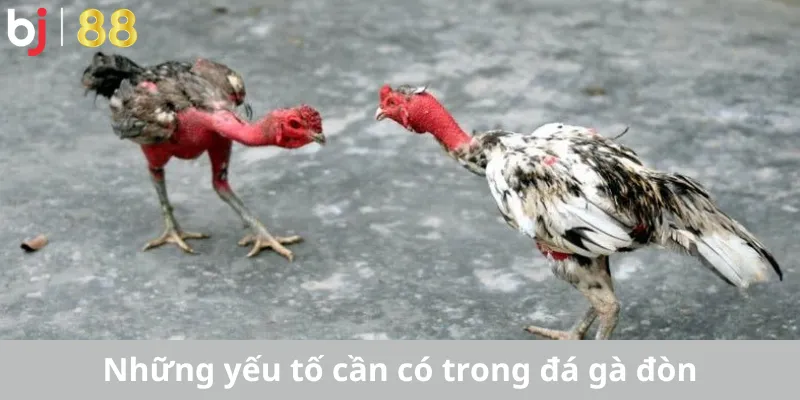 Những yếu tố cần có trong đá gà đòn