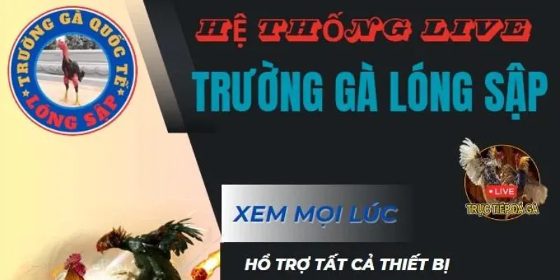 trường gà Lóng Sập